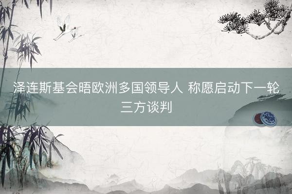泽连斯基会晤欧洲多国领导人 称愿启动下一轮三方谈判