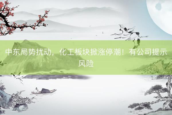 中东局势扰动，化工板块掀涨停潮！有公司提示风险