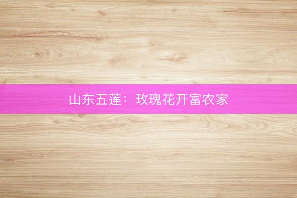 山东五莲：玫瑰花开富农家