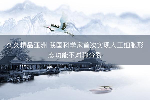 久久精品亚洲 我国科学家首次实现人工细胞形态功能不对称分裂
