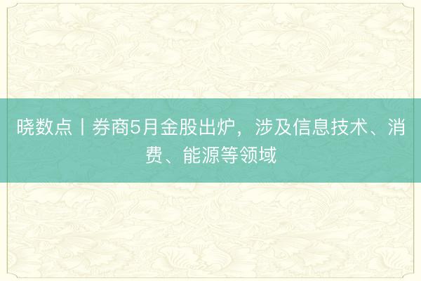 晓数点丨券商5月金股出炉,涉及信息技术、消费、能源等领域