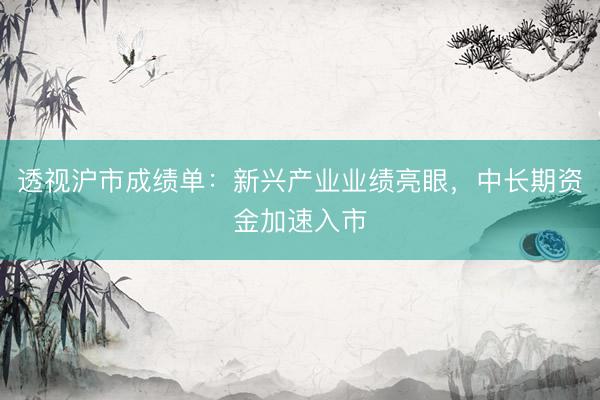 透视沪市成绩单：新兴产业业绩亮眼，中长期资金加速入市