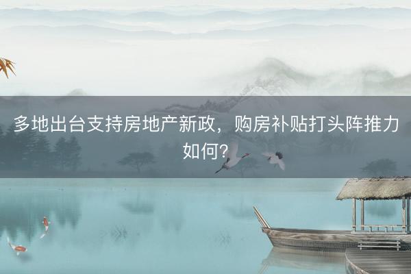 多地出台支持房地产新政，购房补贴打头阵推力如何？