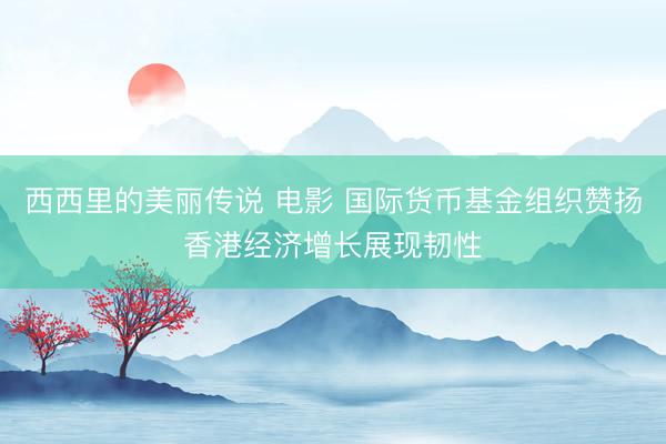 西西里的美丽传说 电影 国际货币基金组织赞扬香港经济增长展现韧性