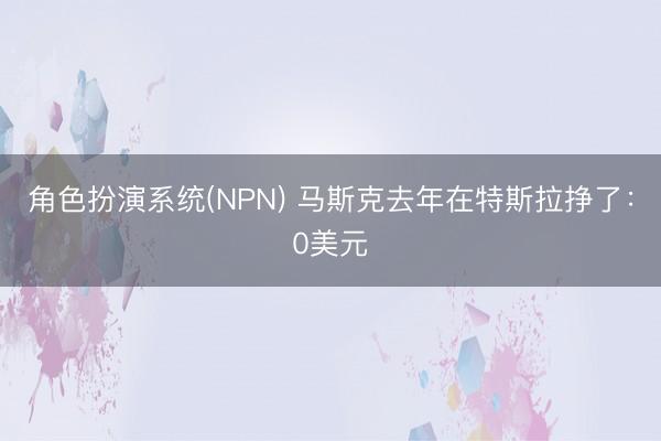 角色扮演系统(NPN) 马斯克去年在特斯拉挣了：0美元