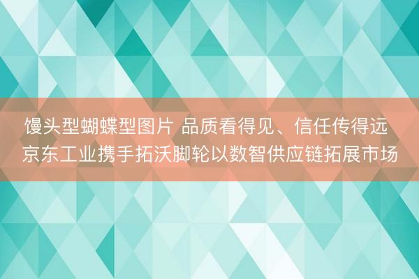 馒头型蝴蝶型图片 品质看得见、信任传得远 京东工业携手拓沃脚轮以数智供应链拓展市场