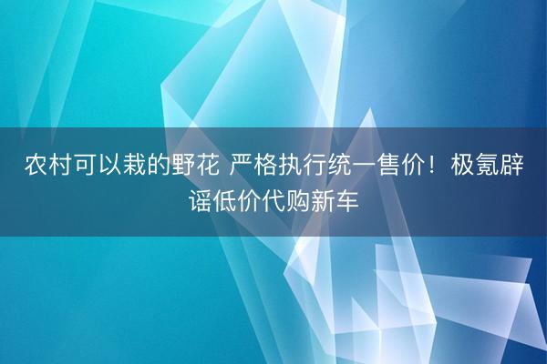 农村可以栽的野花 严格执行统一售价！极氪辟谣低价代购新车