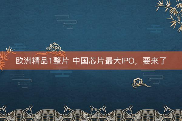 欧洲精品1整片 中国芯片最大IPO，要来了