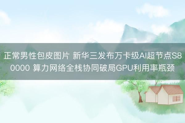 正常男性包皮图片 新华三发布万卡级AI超节点S80000 算力网络全栈协同破局GPU利用率瓶颈