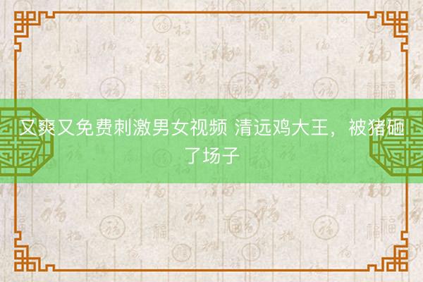 又爽又免费刺激男女视频 清远鸡大王，被猪砸了场子
