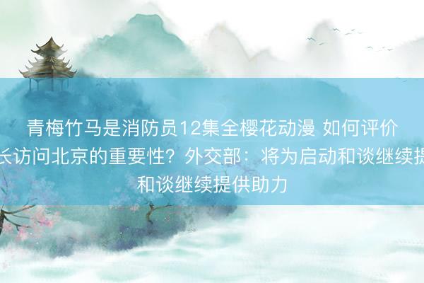 青梅竹马是消防员12集全樱花动漫 如何评价伊朗外长访问北京的重要性？外交部：将为启动和谈继续提供助力
