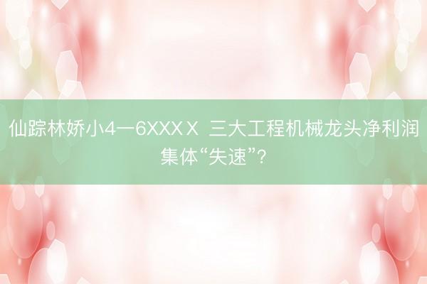 仙踪林娇小4一6XXXⅩ 三大工程机械龙头净利润集体“失速”？