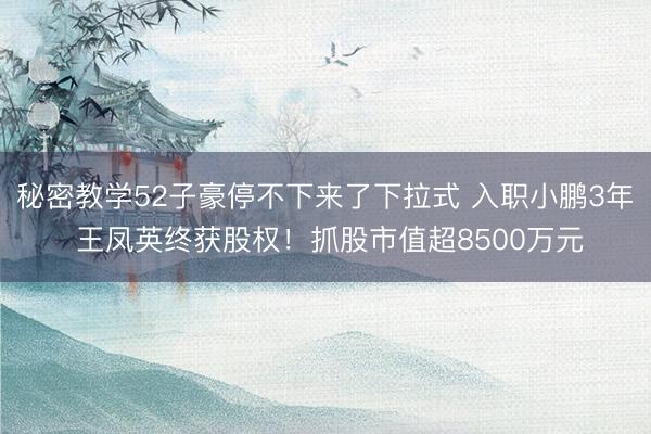 秘密教学52子豪停不下来了下拉式 入职小鹏3年 王凤英终获股权！抓股市值超8500万元
