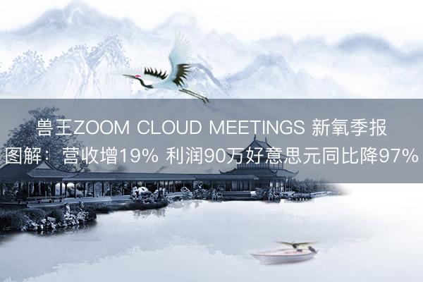 兽王ZOOM CLOUD MEETINGS 新氧季报图解：营收增19% 利润90万好意思元同比降97%