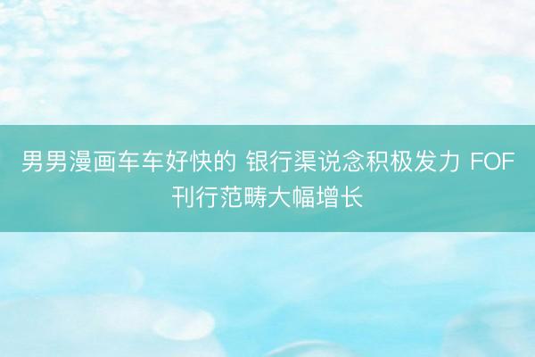 男男漫画车车好快的 银行渠说念积极发力 FOF刊行范畴大幅增长
