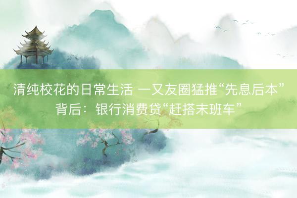 清纯校花的日常生活 一又友圈猛推“先息后本”背后：银行消费贷“赶搭末班车”