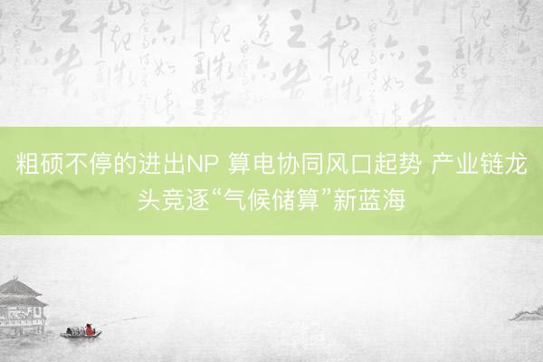 粗硕不停的进出NP 算电协同风口起势 产业链龙头竞逐“气候储算”新蓝海