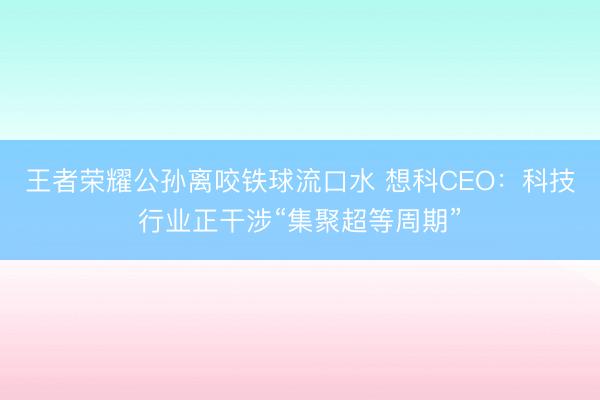 王者荣耀公孙离咬铁球流口水 想科CEO：科技行业正干涉“集聚超等周期”