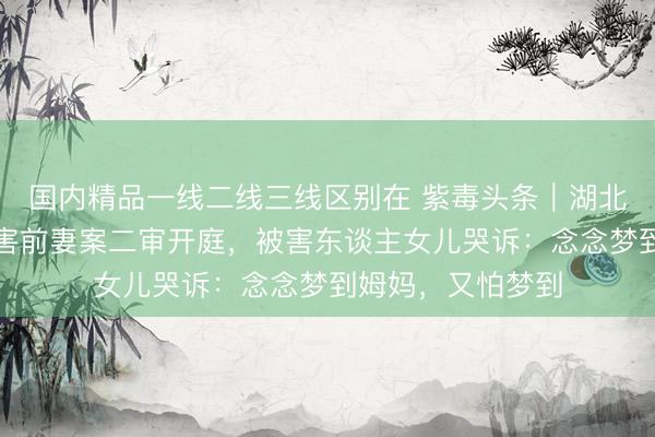 国内精品一线二线三线区别在 紫毒头条｜湖北大冶仳离当晚杀害前妻案二审开庭，被害东谈主女儿哭诉：念念梦到姆妈，又怕梦到