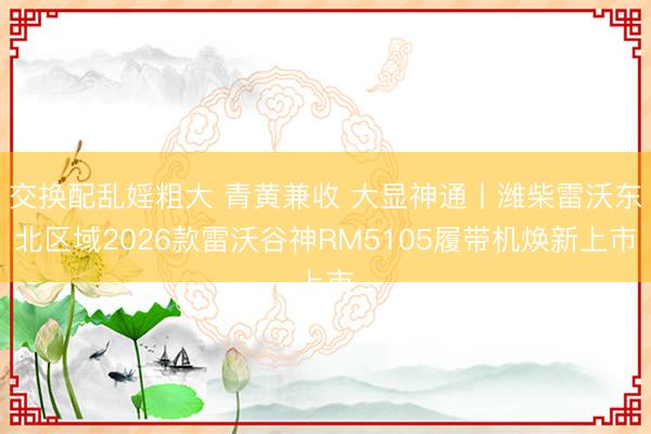 交换配乱婬粗大 青黄兼收 大显神通丨潍柴雷沃东北区域2026款雷沃谷神RM5105履带机焕新上市