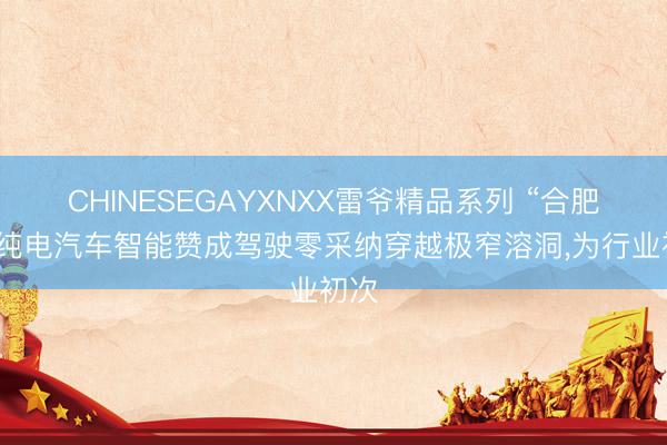 CHINESEGAYXNXX雷爷精品系列 “合肥造”纯电汽车智能赞成驾驶零采纳穿越极窄溶洞，为行业初次