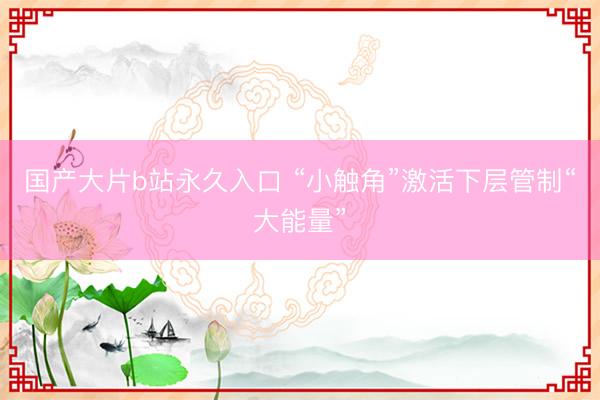 国产大片b站永久入口 “小触角”激活下层管制“大能量”