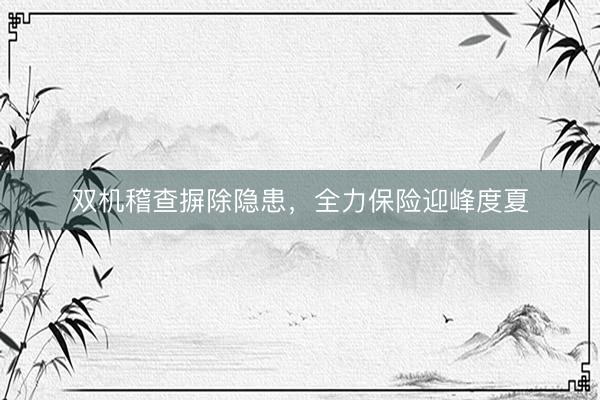 双机稽查摒除隐患，全力保险迎峰度夏