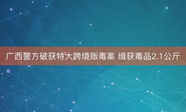 广西警方破获特大跨境贩毒案 缉获毒品2.1公斤